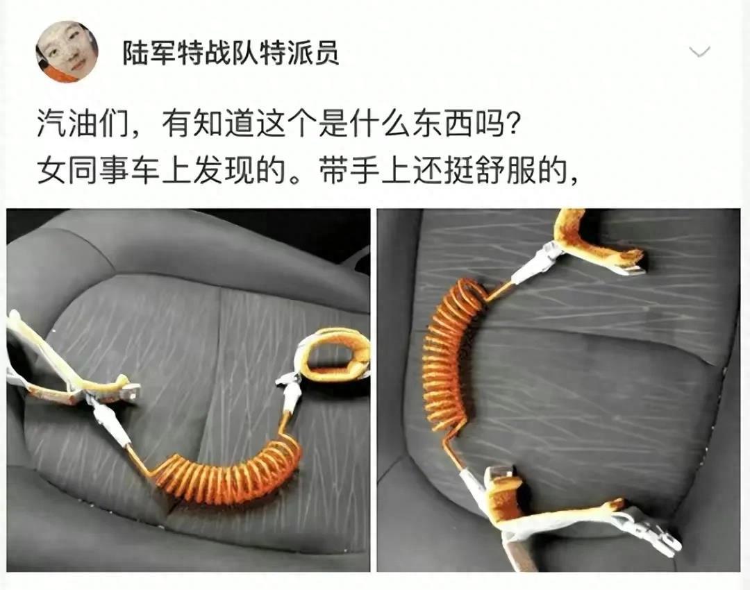 “无意中在女同事车上发现的，这是用来干嘛的？”网友们内涵了