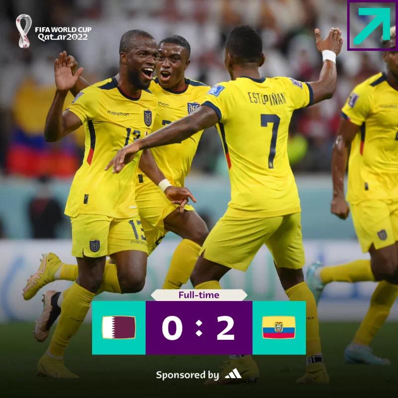 世界杯回放卡塔尔对厄瓜多尔,世界杯卡塔尔首战失利赔率