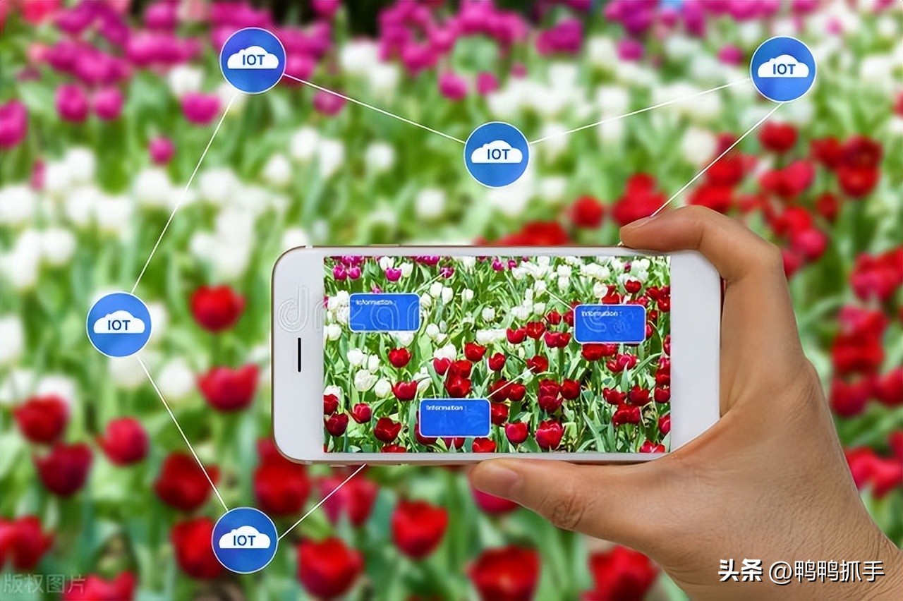 智慧农业保障早稻丰产,水稻高效智慧农业应用技术