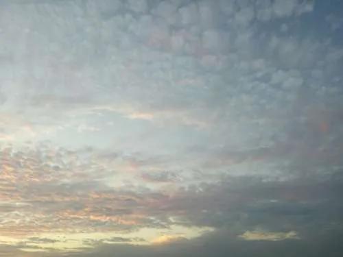 低调又不失内涵的文艺句子,简简单单却惊艳你的高级句子