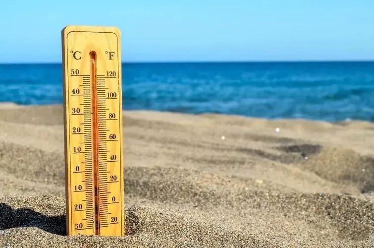 2023年是黑兔年还是木兔年,2023年被称为黑兔年为什么