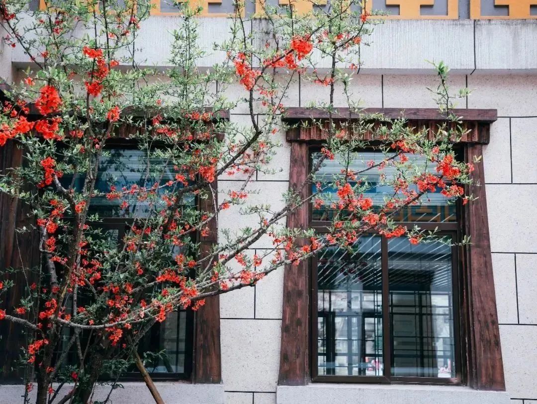 恋爱赏花没时间？四川这所高职专门放假7天过春天！谁羡慕我不说