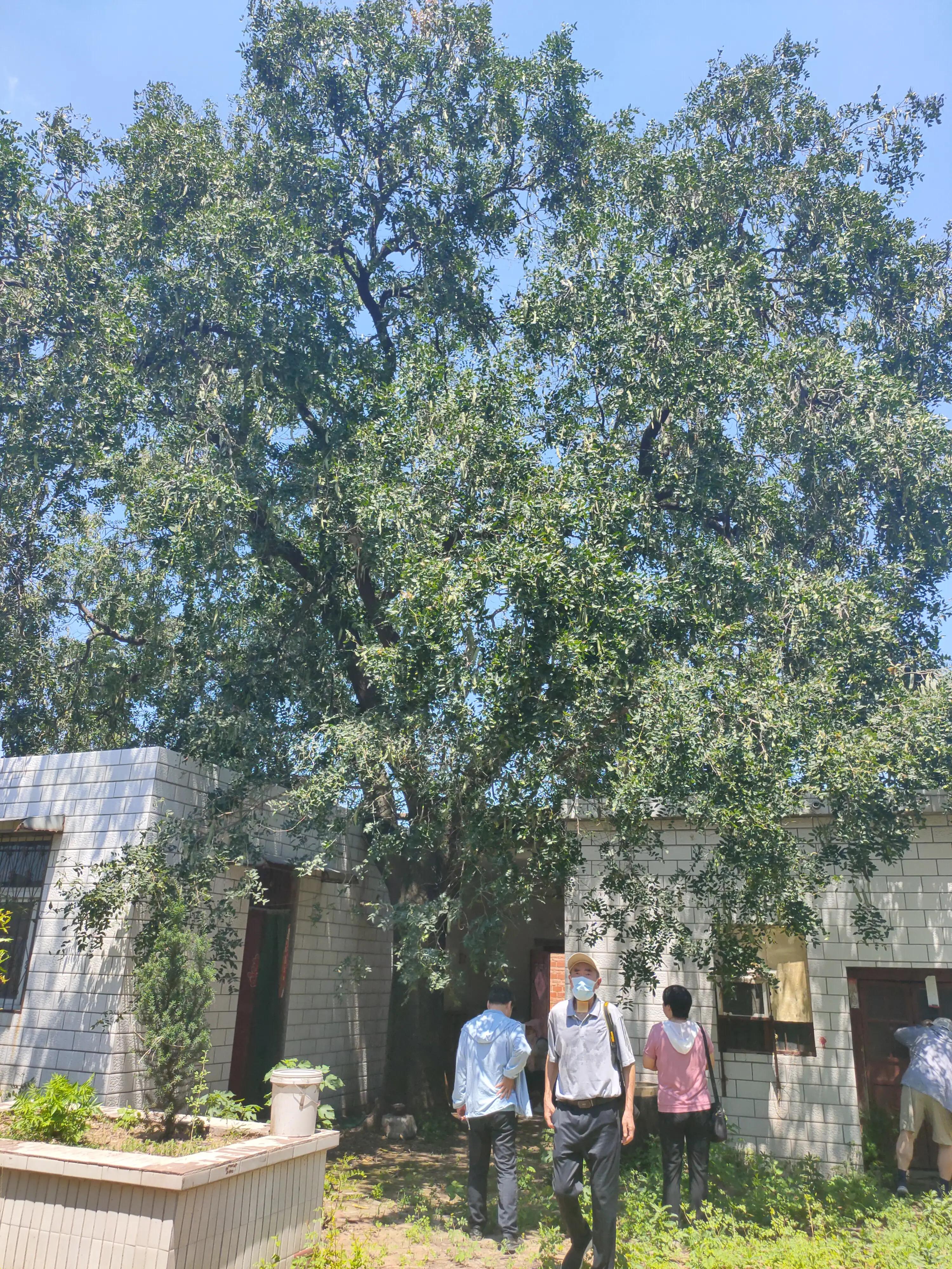 史庄村“五星”支部创建七律/李清民中华诗词学会会员