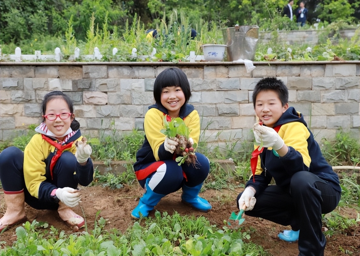 南京农业大学实验小学在哪里,2020南京农业大学实验小学
