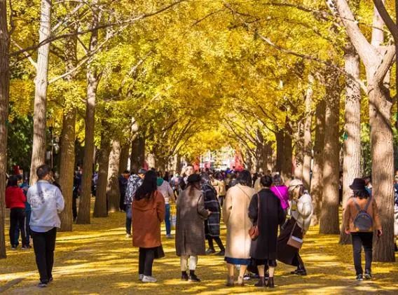 最合适带父母去旅游的地方,适合带父母去国内旅游的地方