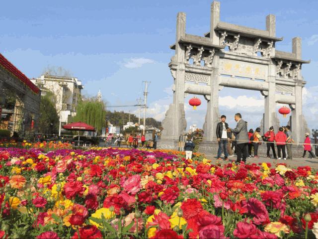 带你去看不一样的黄山之美,2020黄山旅游攻略带你玩转黄山