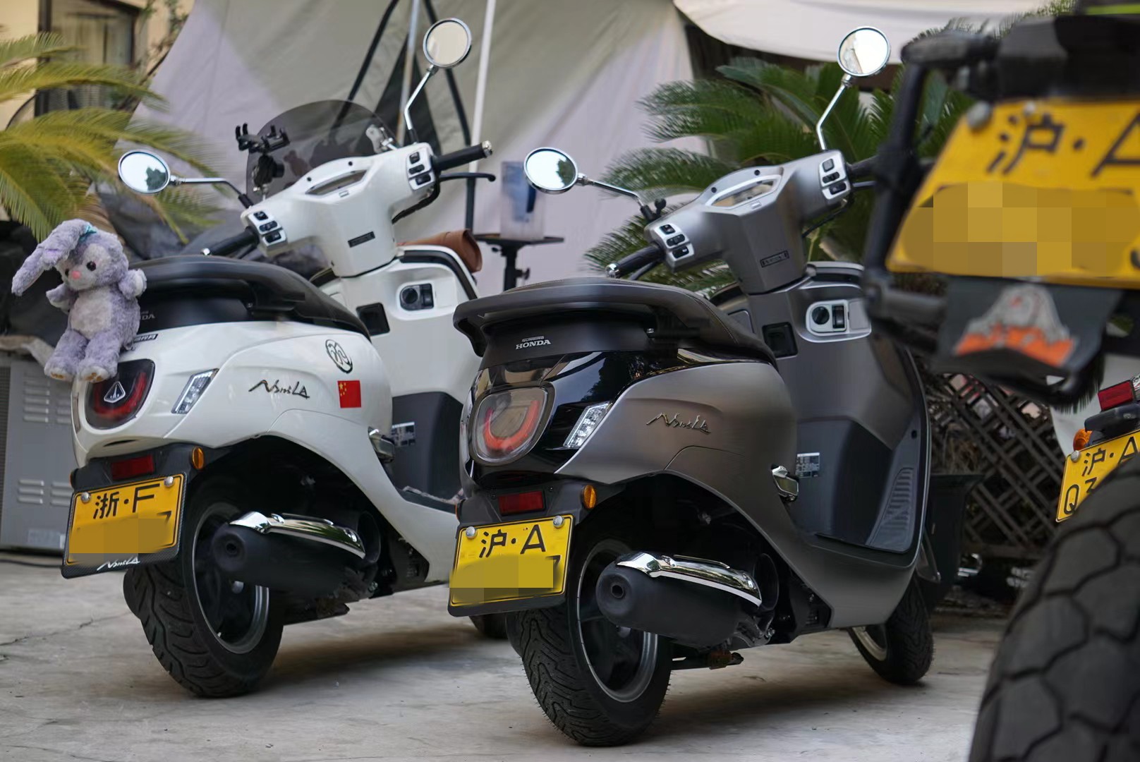 新大洲本田ns125la黑色测评,新大洲本田ns125la特别版