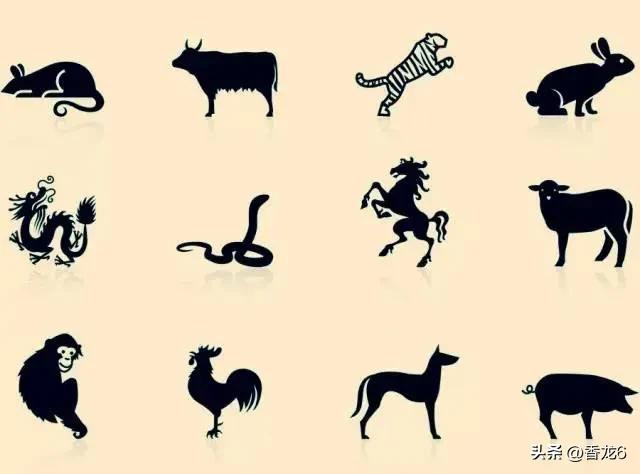 十二生肖知识排行榜,十二生肖排名完整版