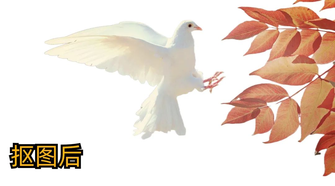 无版权可以随便用的素材库,高清无版权无水印的视频素材库app