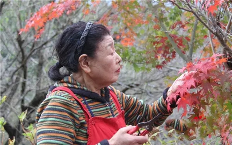 农村挣钱，这几条路子比较野