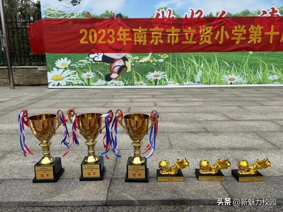 南京市晓庄小学校园足球联赛,区长杯小学校园足球联赛