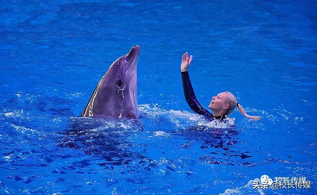 康红舒：有关孩子教育的几则故事