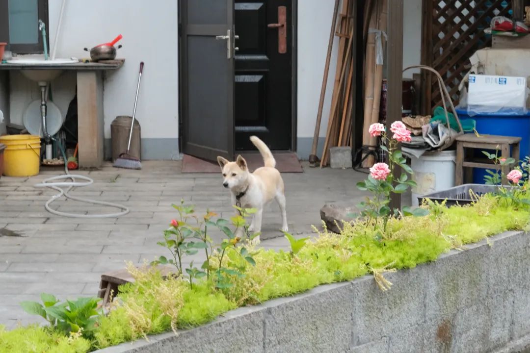 杭州冬日旅游自驾,杭州周边避暑两日自驾游攻略