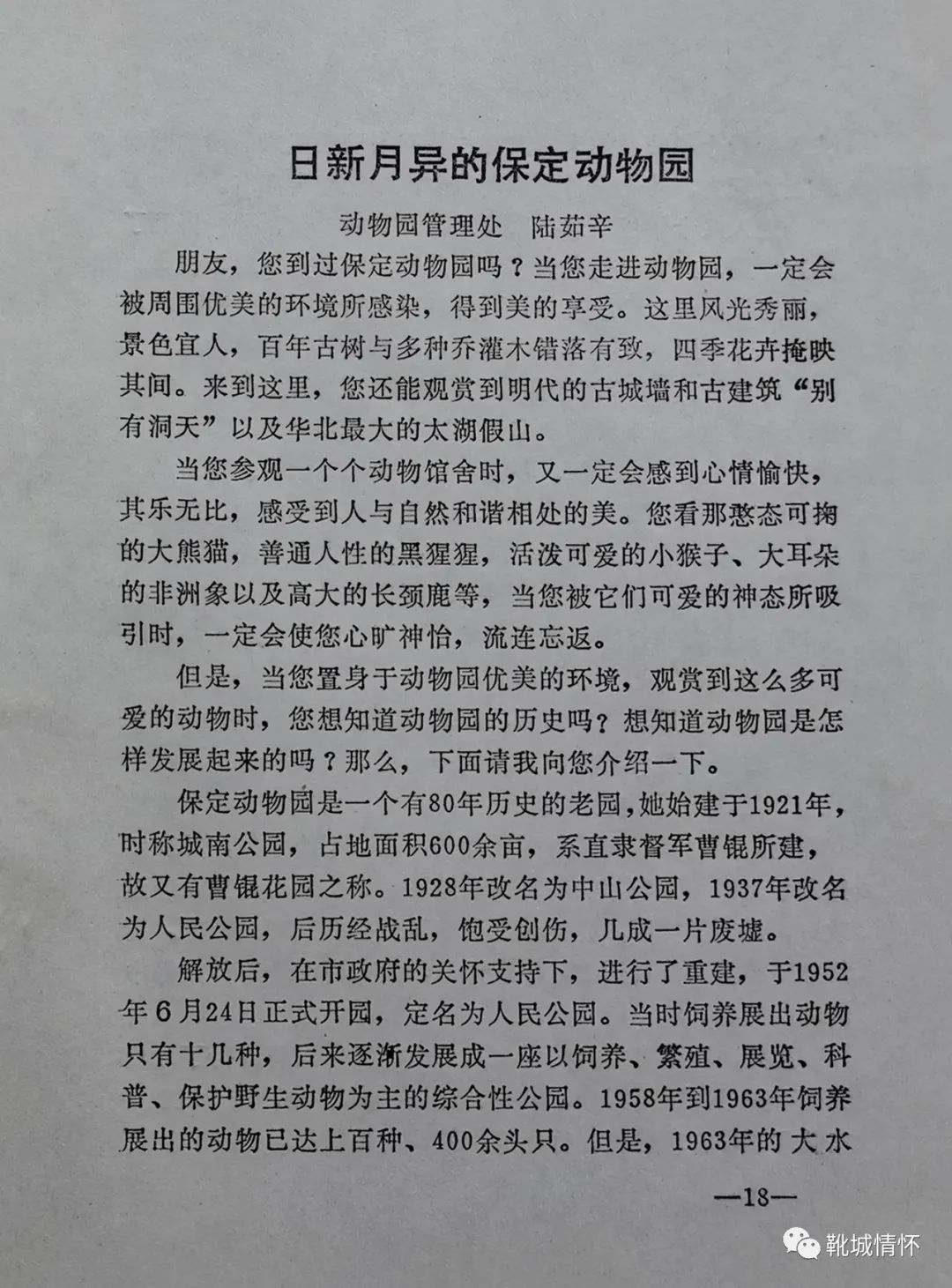 靴城情怀｜回忆20年前的园林局演讲会（6）