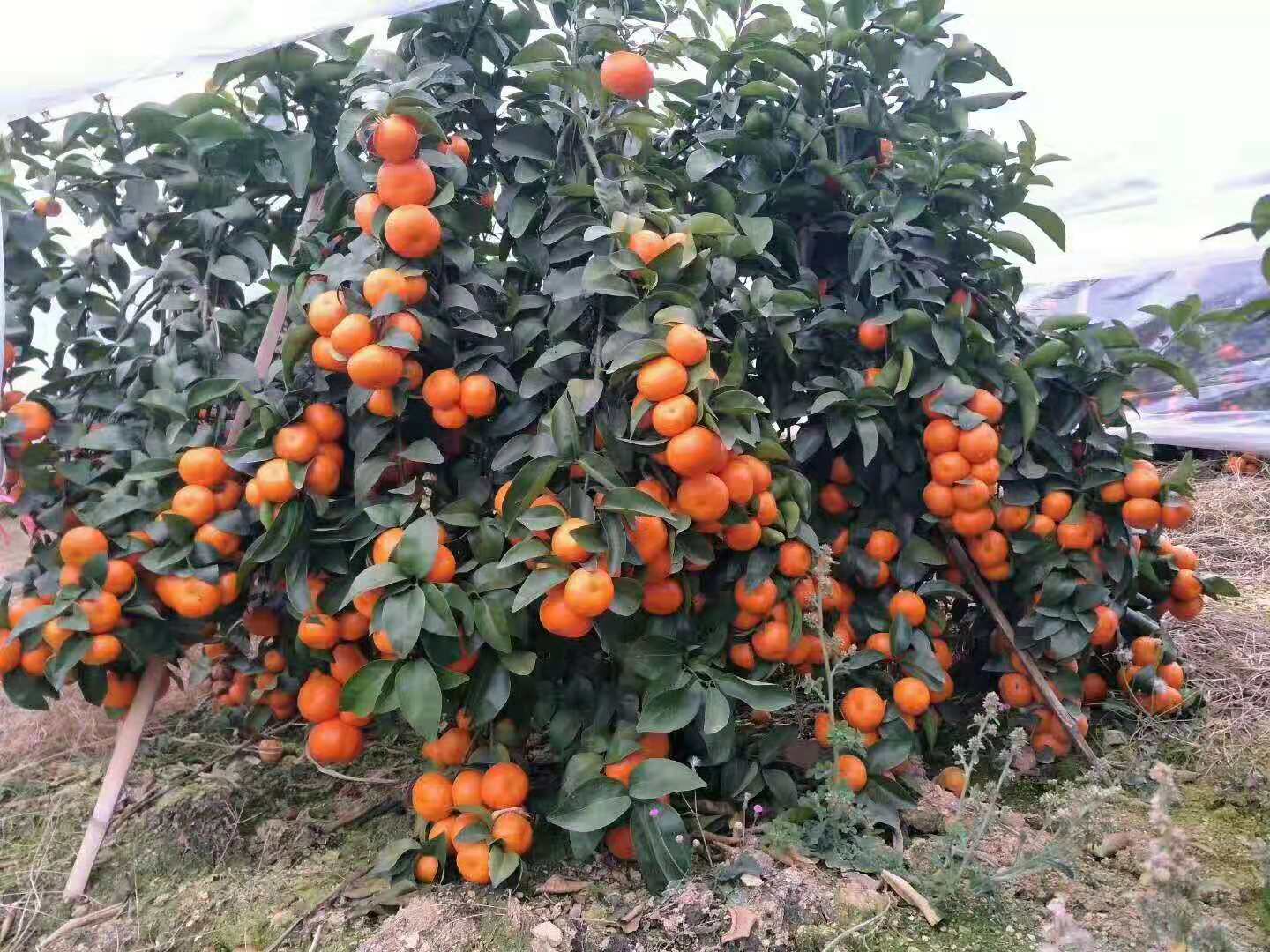 行业不景气怎么办,行业不景气如何创业