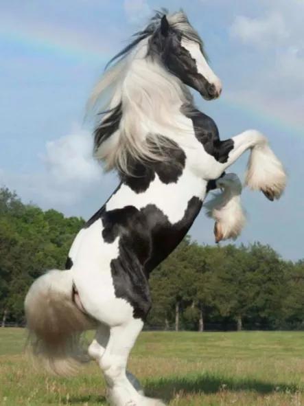 养精蓄锐蓄势待发,养精蓄锐蓄势待发重振雄风