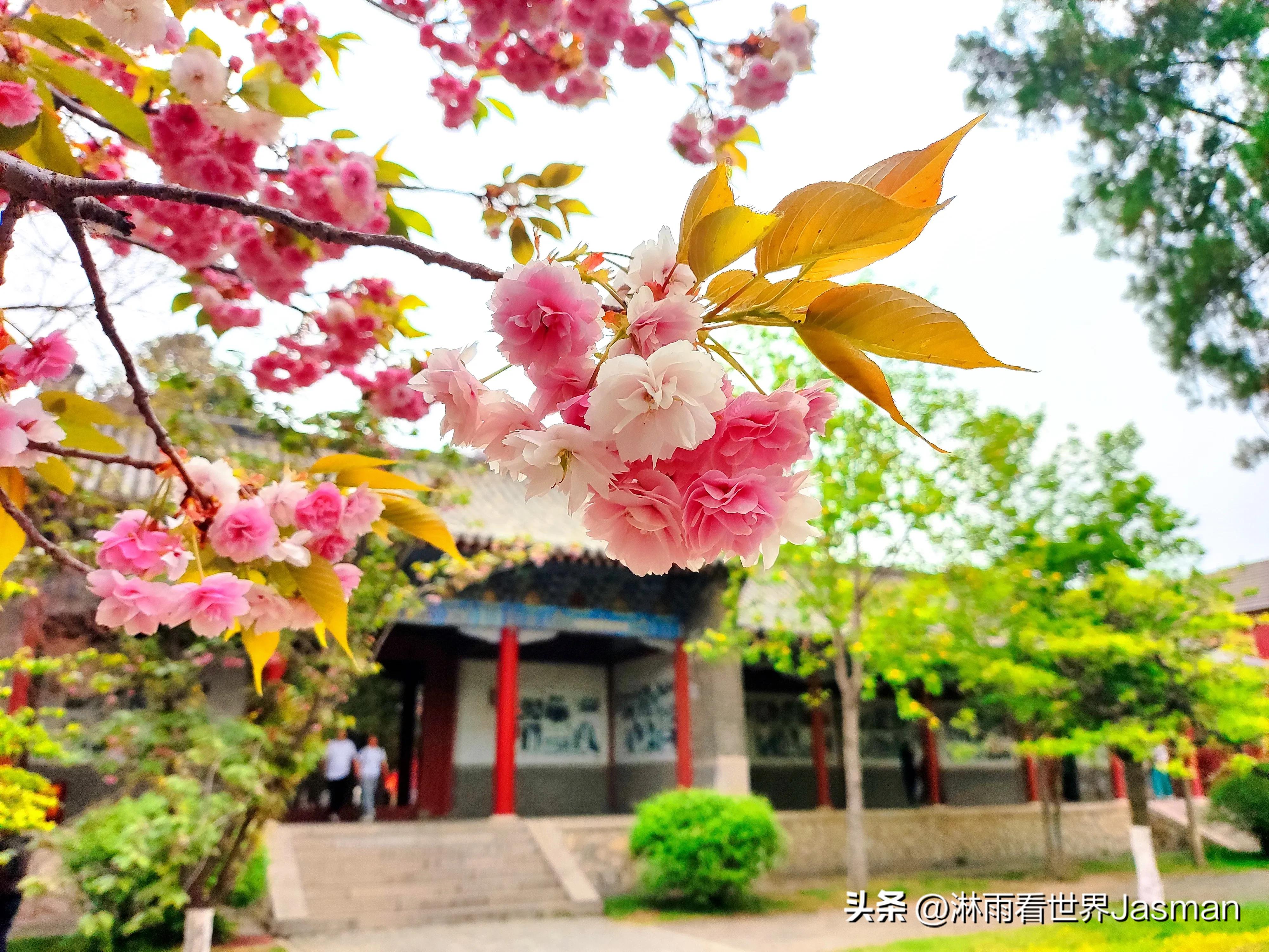 泰山庙东岳庙,泰山东岳大帝庙是岱庙吗