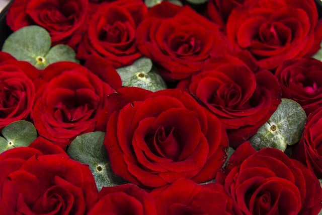 八十年代父亲在信用社工作，网友:你家非富即贵