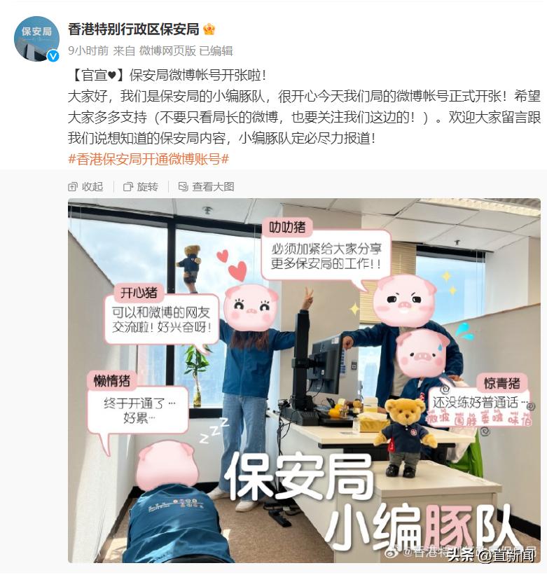 香港区议会基本情况,香港区议会的发展历程