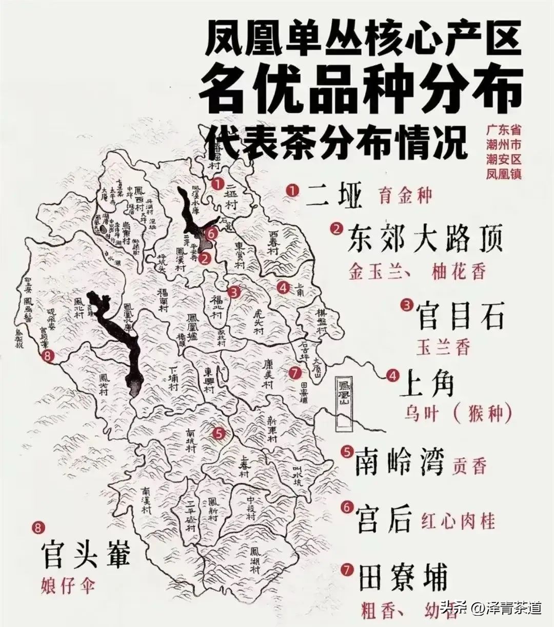 了解一下凤凰单丛,了解凤凰单丛