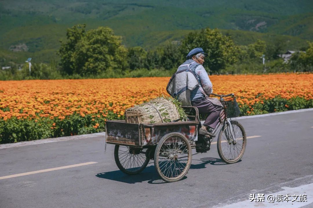 我被丽江治愈了,你呢?