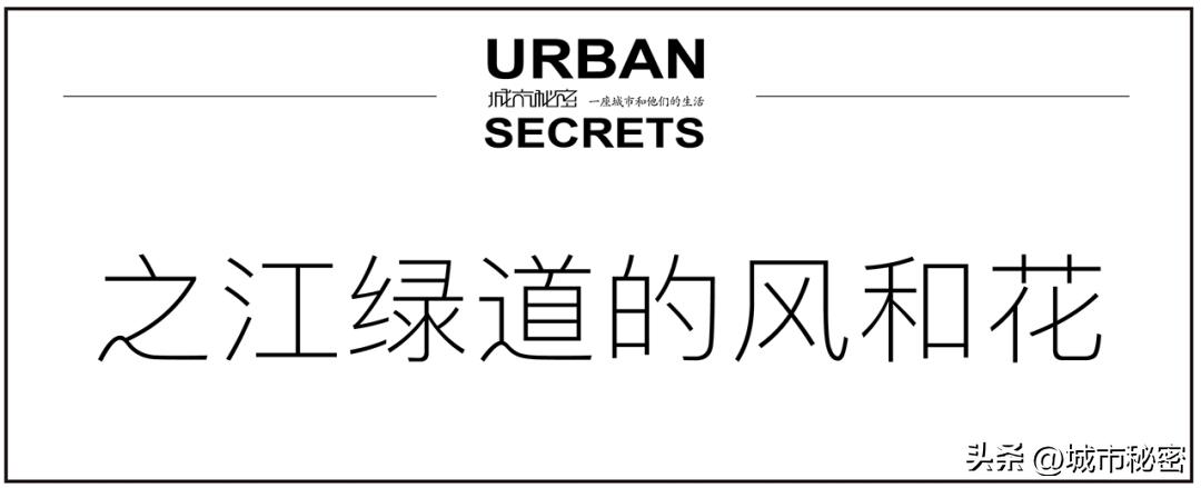 你知道杭州有哪些独特的风景吗,你知道杭州有哪些独特的风景