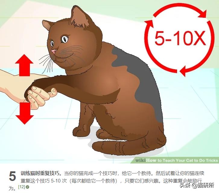 当你亲吻猫咪时它在想什么,情侣亲吻猫咪在想什么