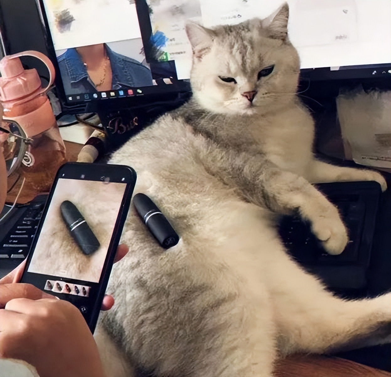 100个最佳生活小技巧图片,有趣的生活小妙招大全