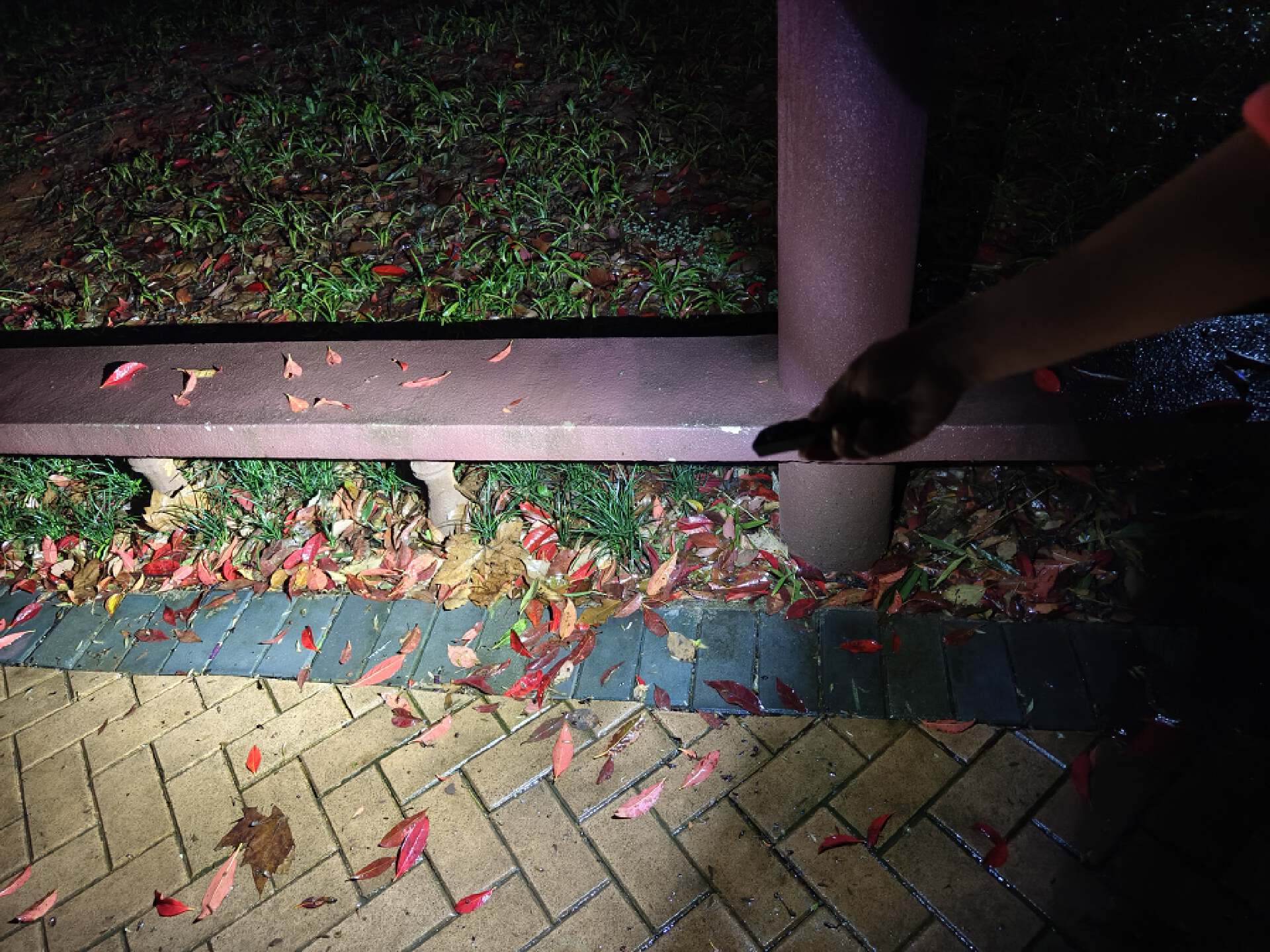 傲雷最好的手电是哪一款,傲雷最值得购买的手电筒