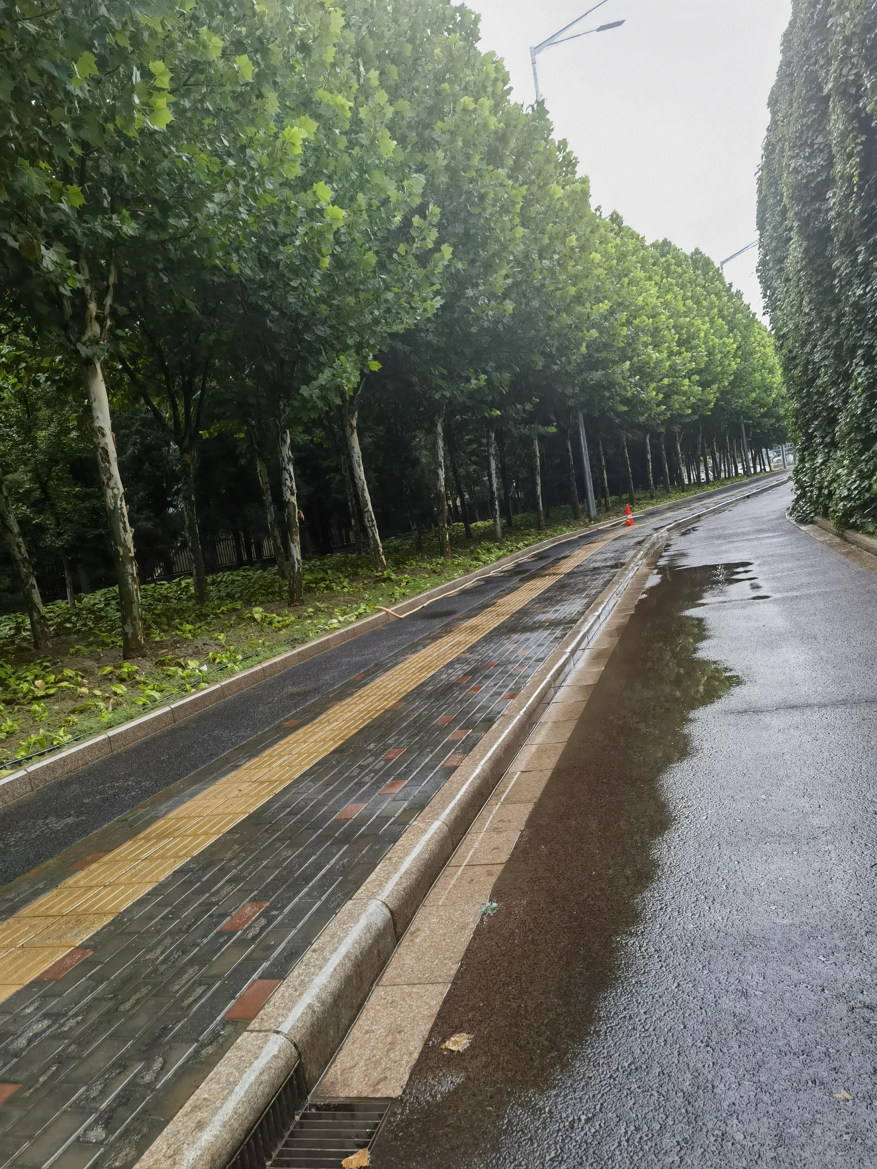 你有真正无话不谈的朋友吗,你有好久不说话的好朋友吗