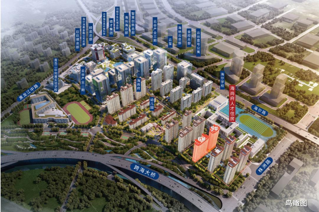 青岛年轻人也敢抄底崂山区了