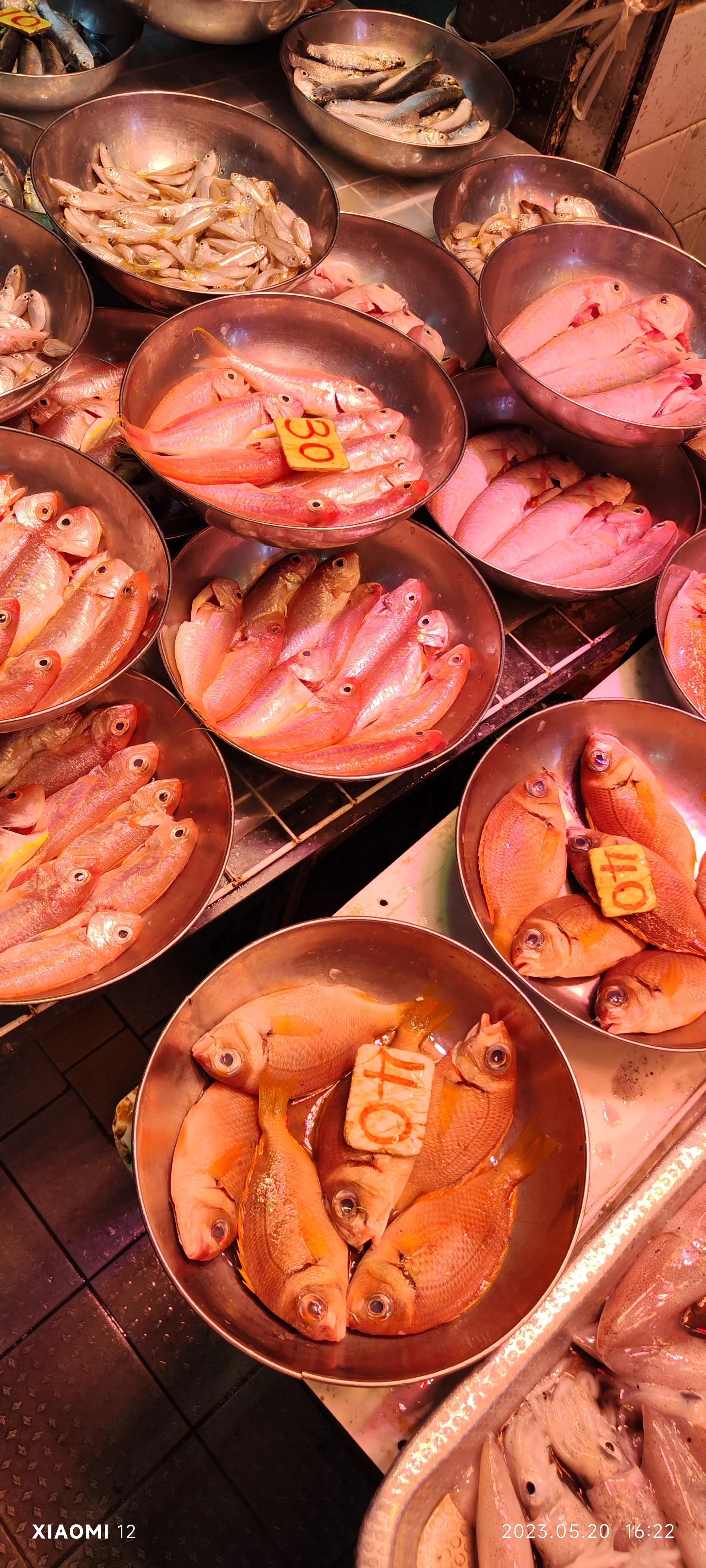 香港大围自由行，重点关注了药品、肉菜以及免税店里香烟的行情