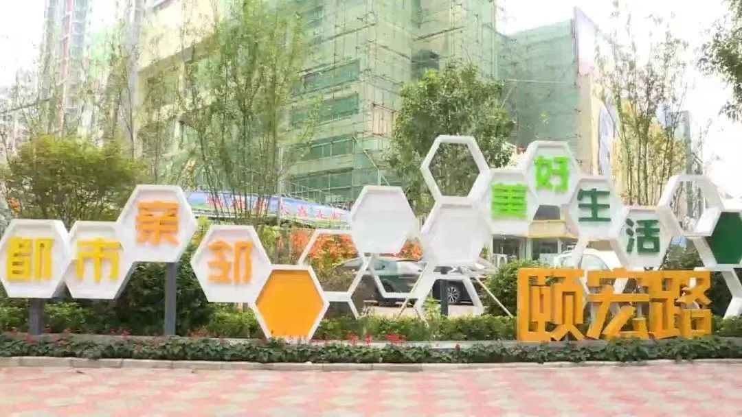 石家庄最美小街巷如何投票,石家庄市小街巷