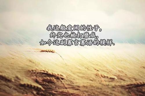 当四大名著遇上音乐题,当四大名著遇上名侦探柯南