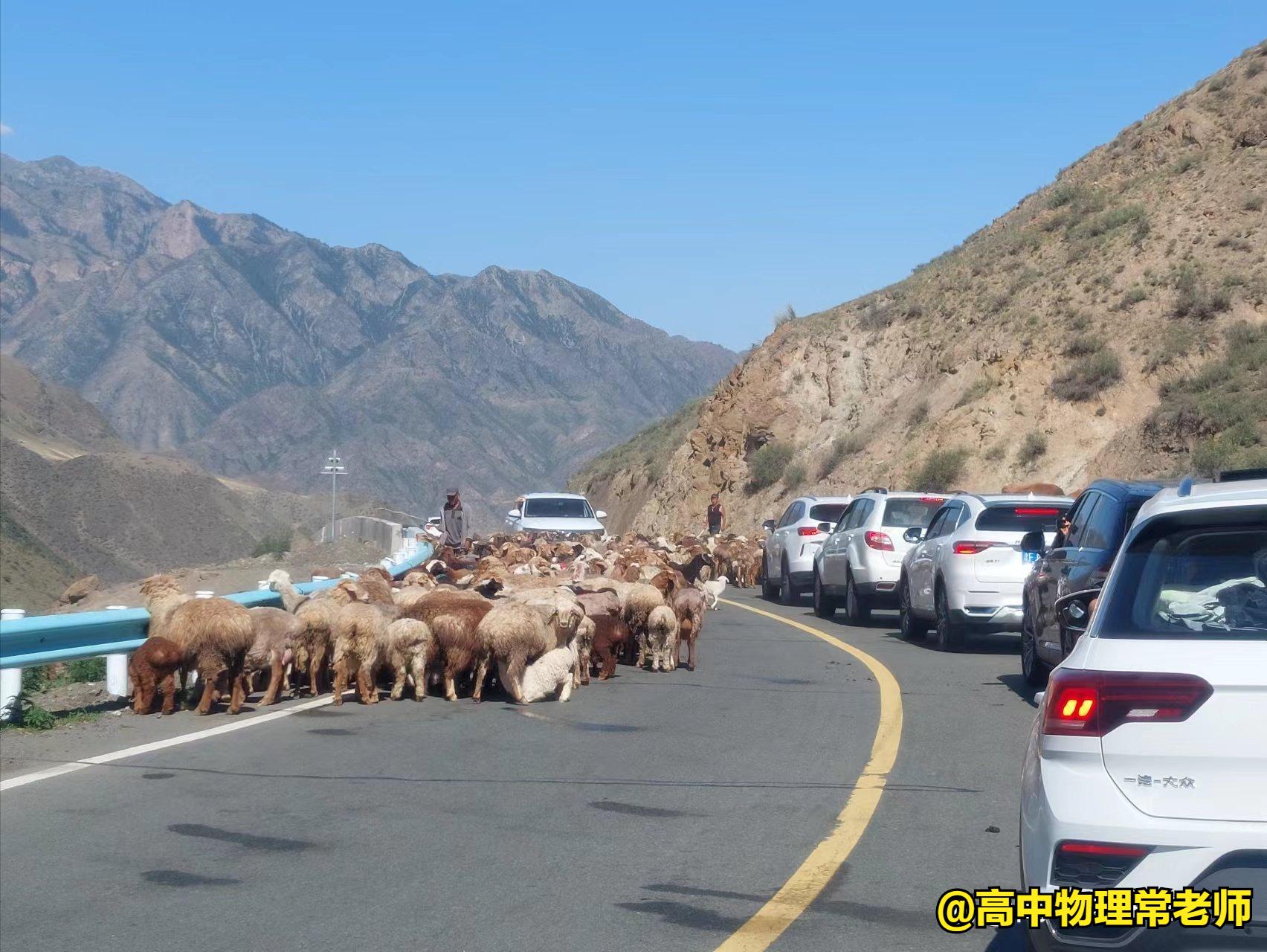 鐙簱鍏矾鐜枂鍗楀寳,鐙簱鍏矾淇￠┈娓哥枂