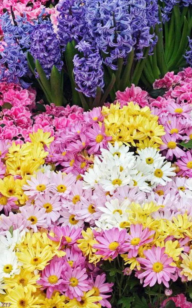 100张美照！真养眼