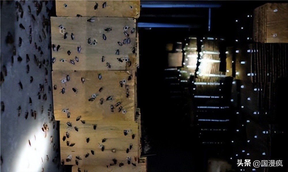 全国最大的蟑螂养殖基地在哪里,中国蟑螂养殖第一人