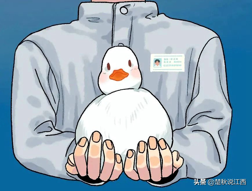 五十年品牌历史,50年中国服装品牌