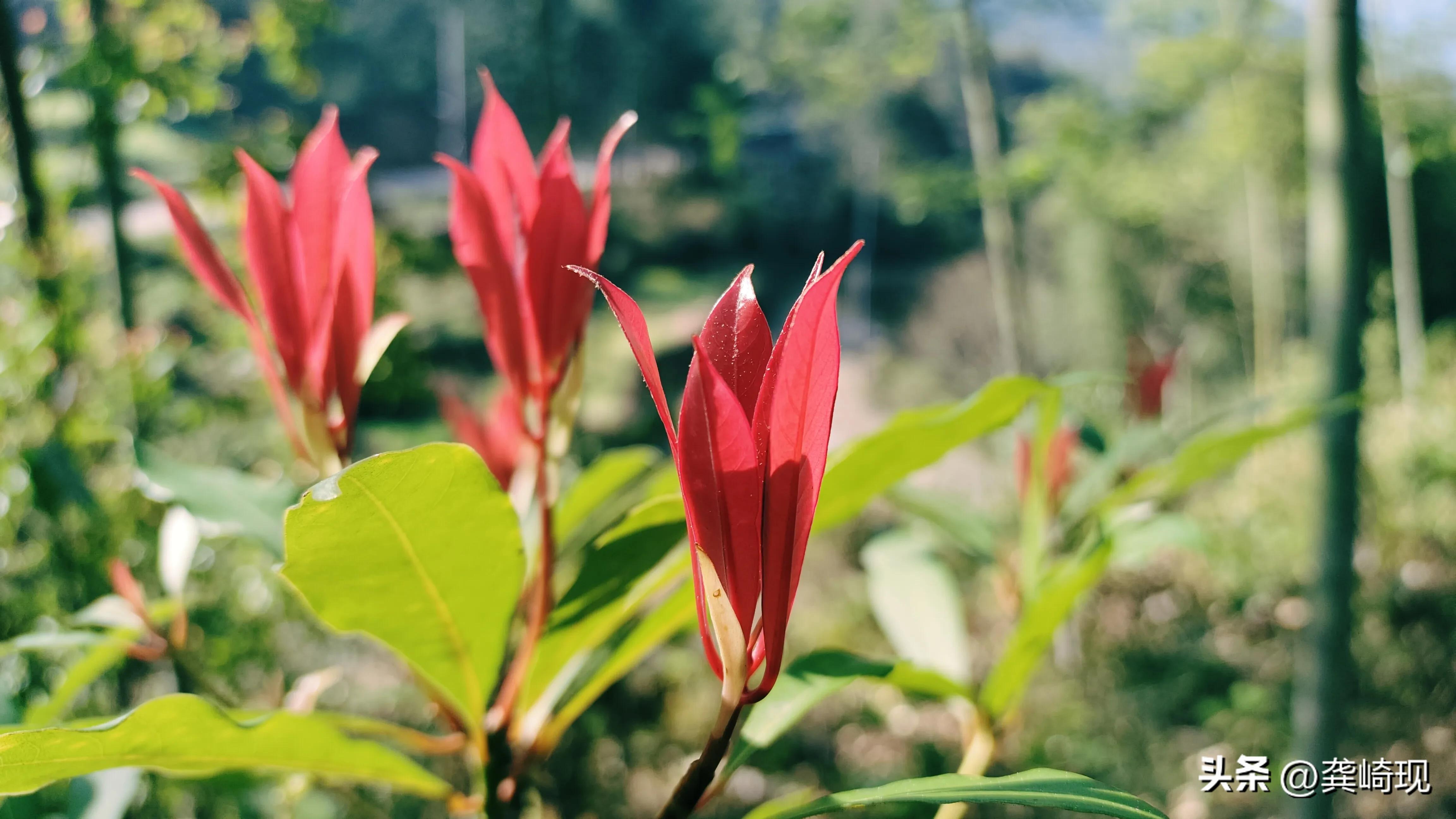 策划运作商业模式,策划商业模式要注意什么