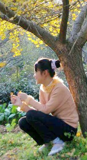 泰兴市百年银杏树,泰兴银杏树受保护么