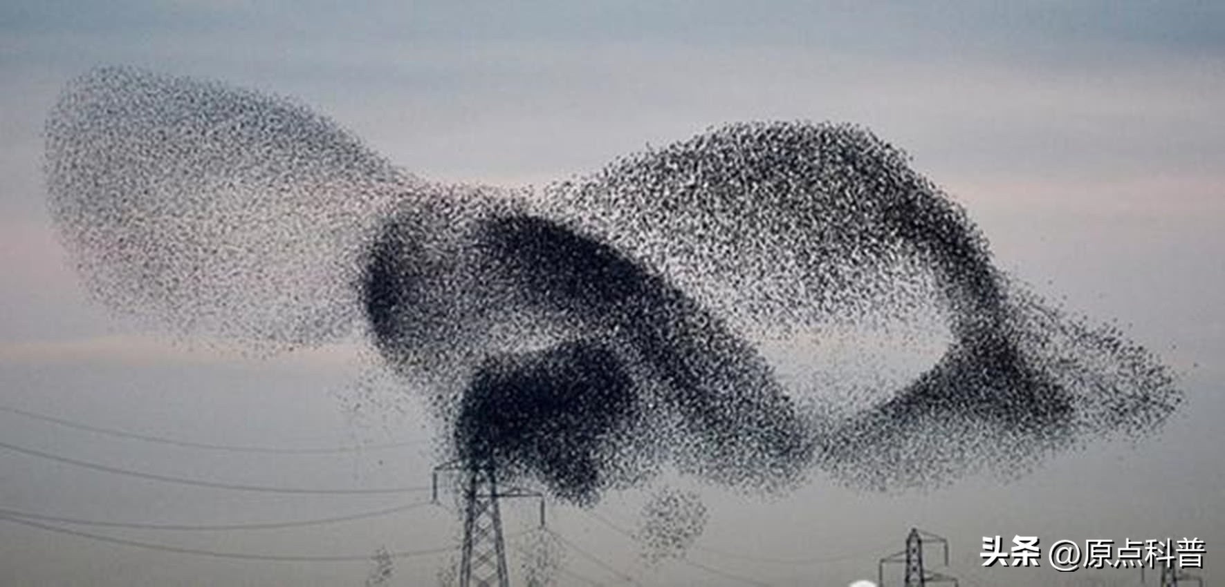 世界上七大离奇事件视频,世界各地发生的奇异现象