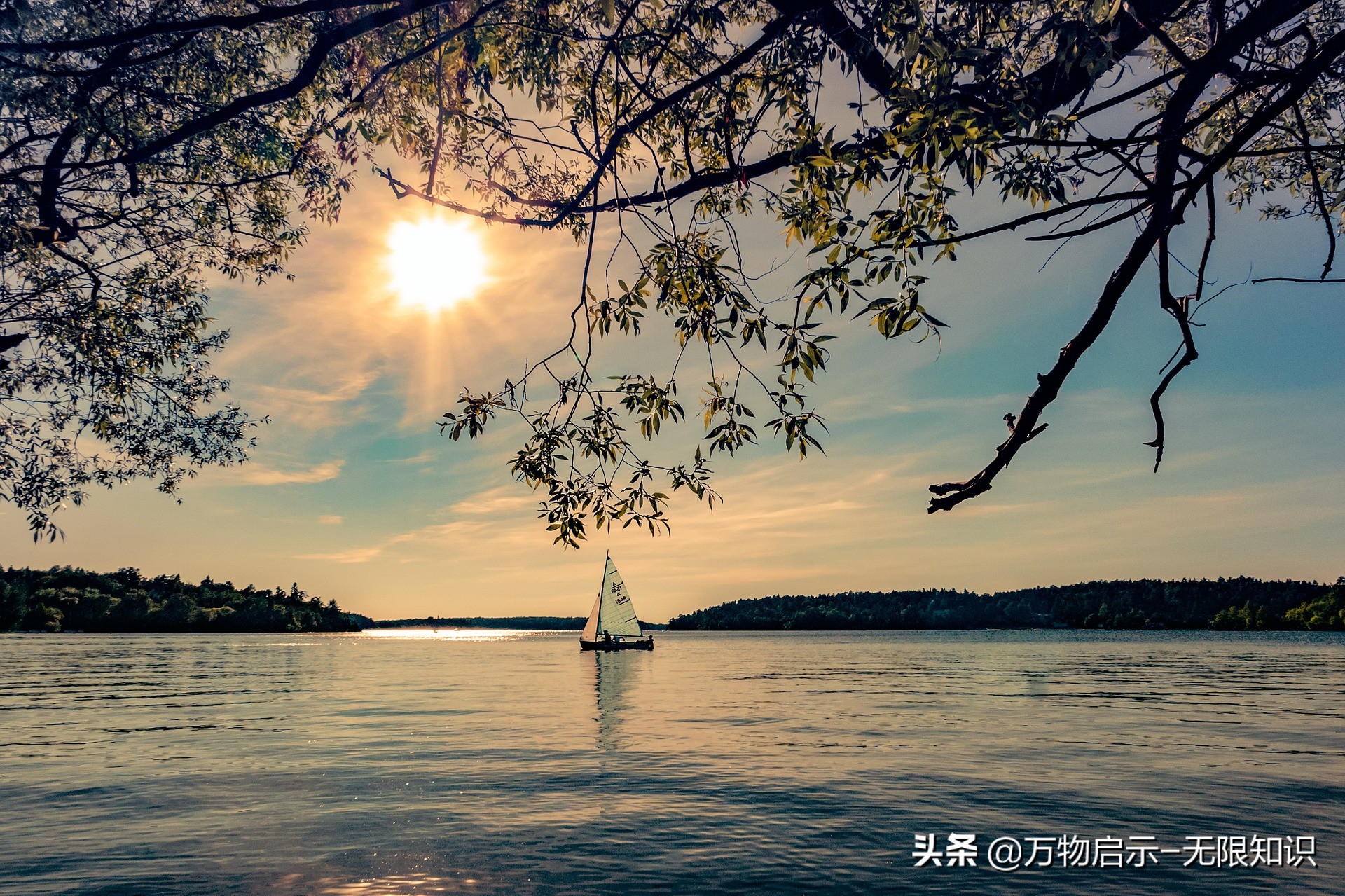 怎样保护抑郁患者,如何保护精神病人的合法权益