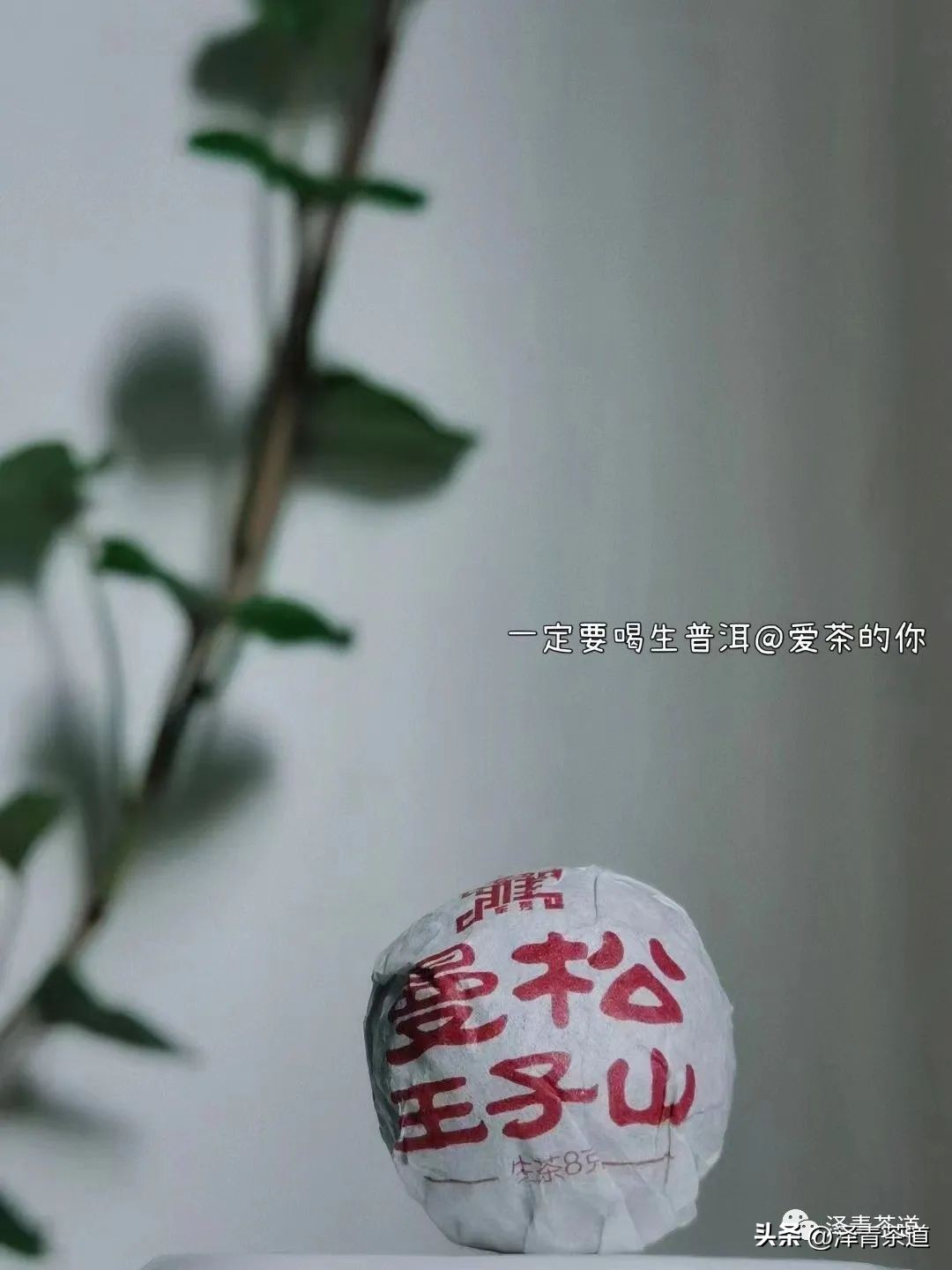 伏天喝什么养生茶最好喝,泡好一杯茶安享三伏天