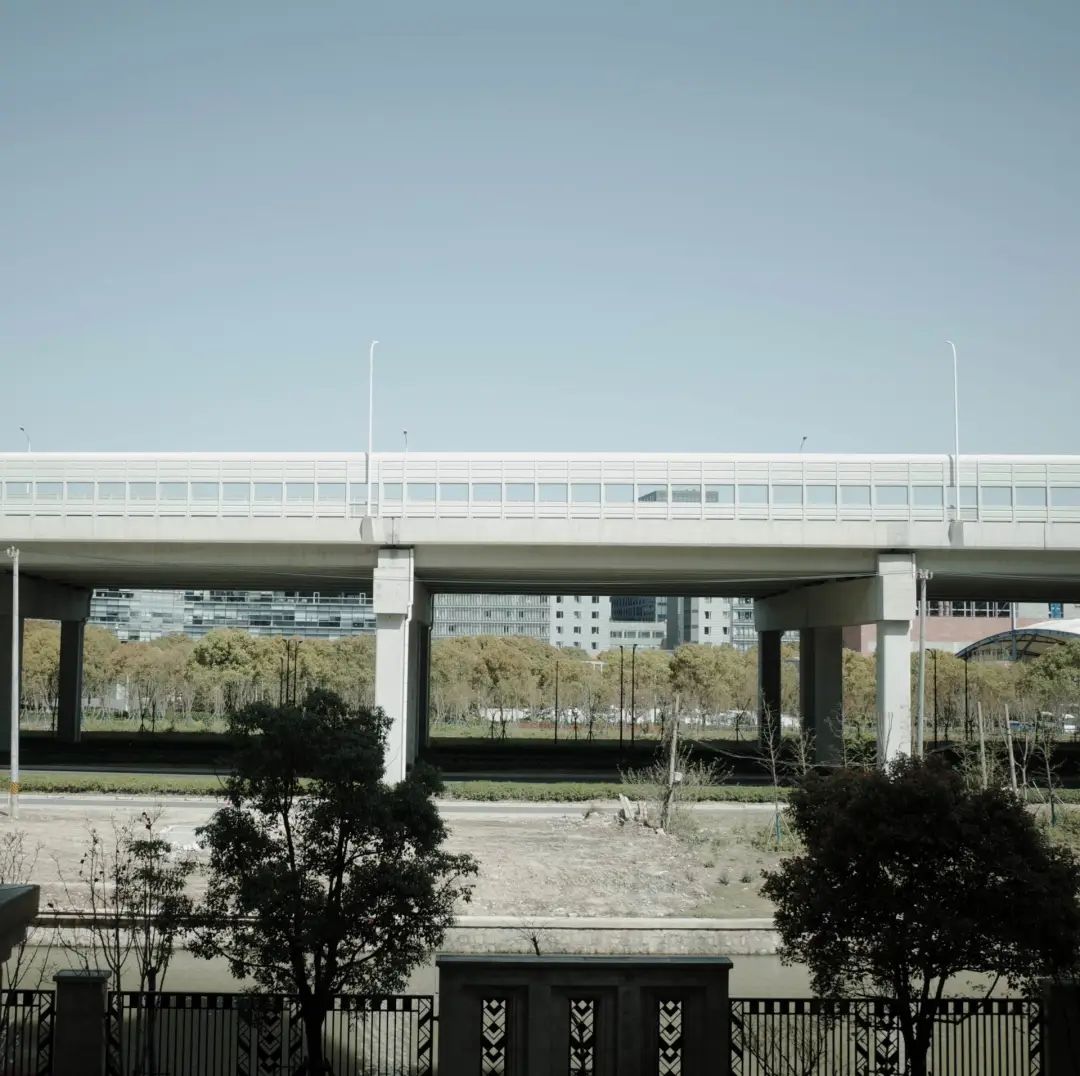 错过了一个秋天,错过了一个春秋