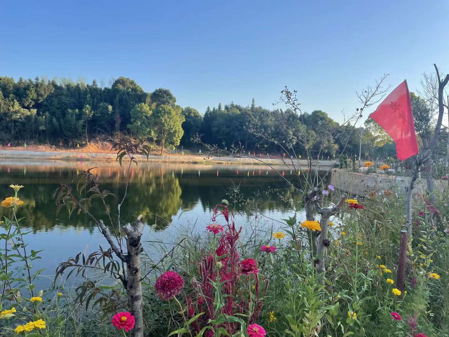 泉鹭山庄游玩攻略,长沙旅游攻略性价比高