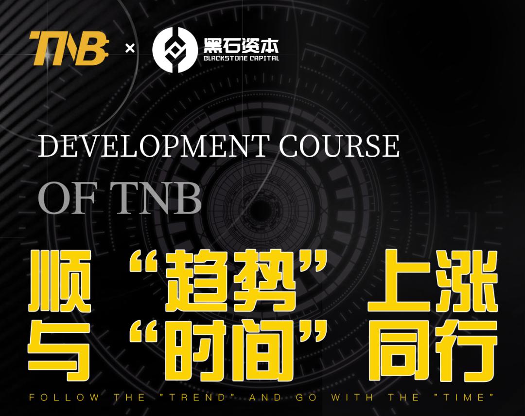 TNB,TimeNewBank-链接现实和元宇宙NFT流量的聚合交易平台