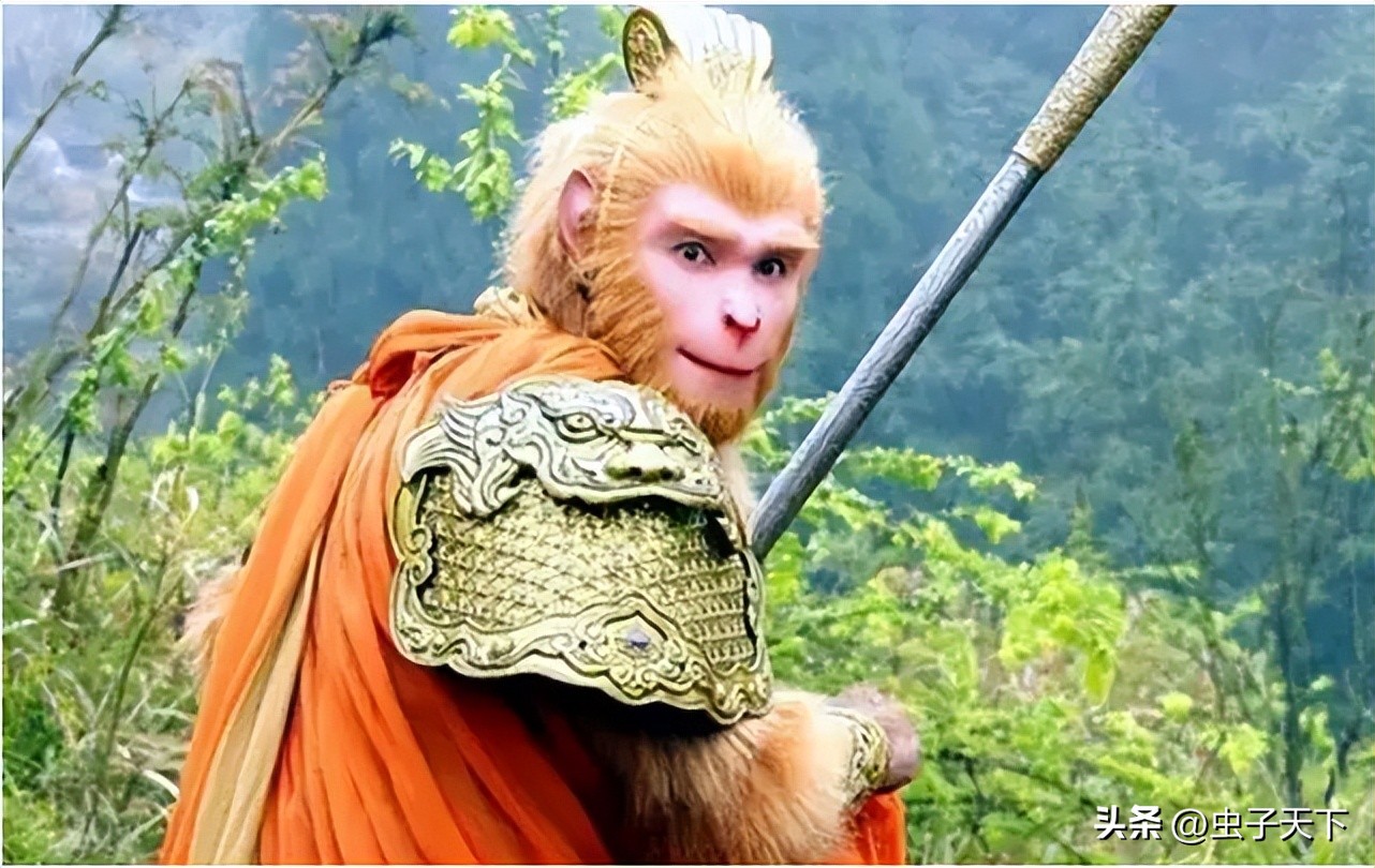 孙悟空是不是西天取经中一个骗局,孙悟空大闹天宫观音为什么降不住