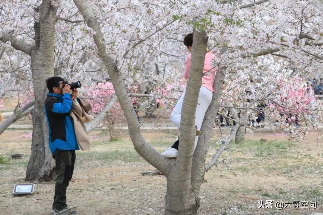 六零空间丨退休后，最受社会欢迎的5种人，看看你是哪一种？