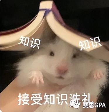 宝藏规划~IBer必备的2023美本申请关键信息