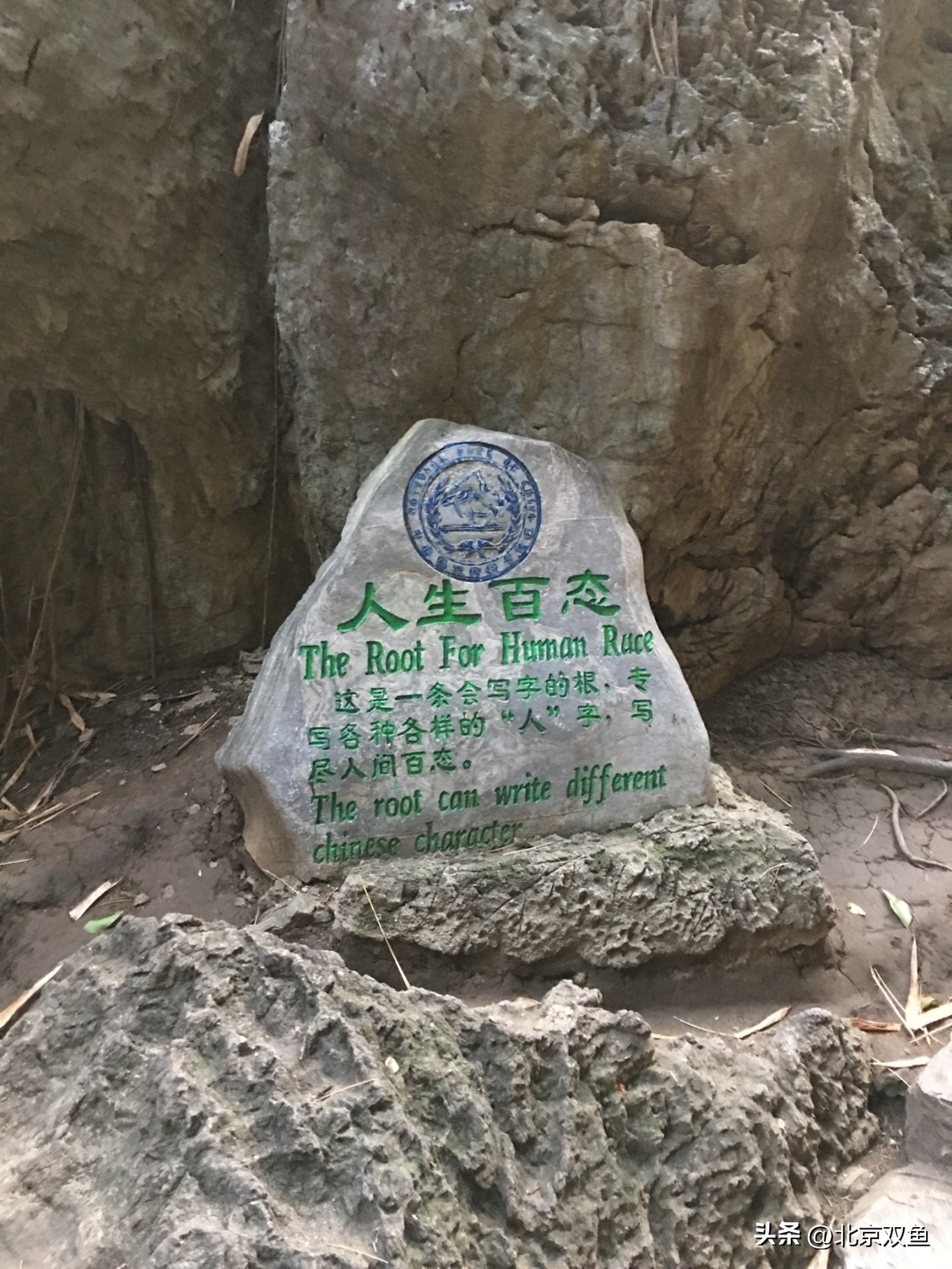 贵州黄果树最美的地方,贵州黄果树旅游攻略自由行